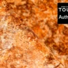 1-Texture_RENOLIT_ALKORPLAN_TOUCH_Authentic