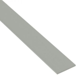Folieblik PPG vlakke strip 50 x lengte 2000 mm