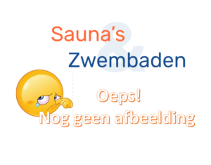 Handzender 2-kanaals afstandsbediening, Covrex