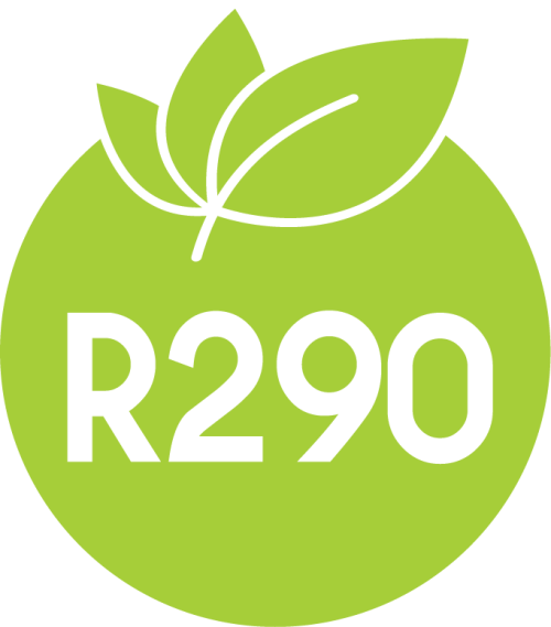 R290