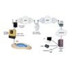 Sugar Valley Ethernet Module - Afbeelding 2