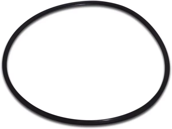 O-Ring voor de  Mega Pool SC100 zwembadpomp